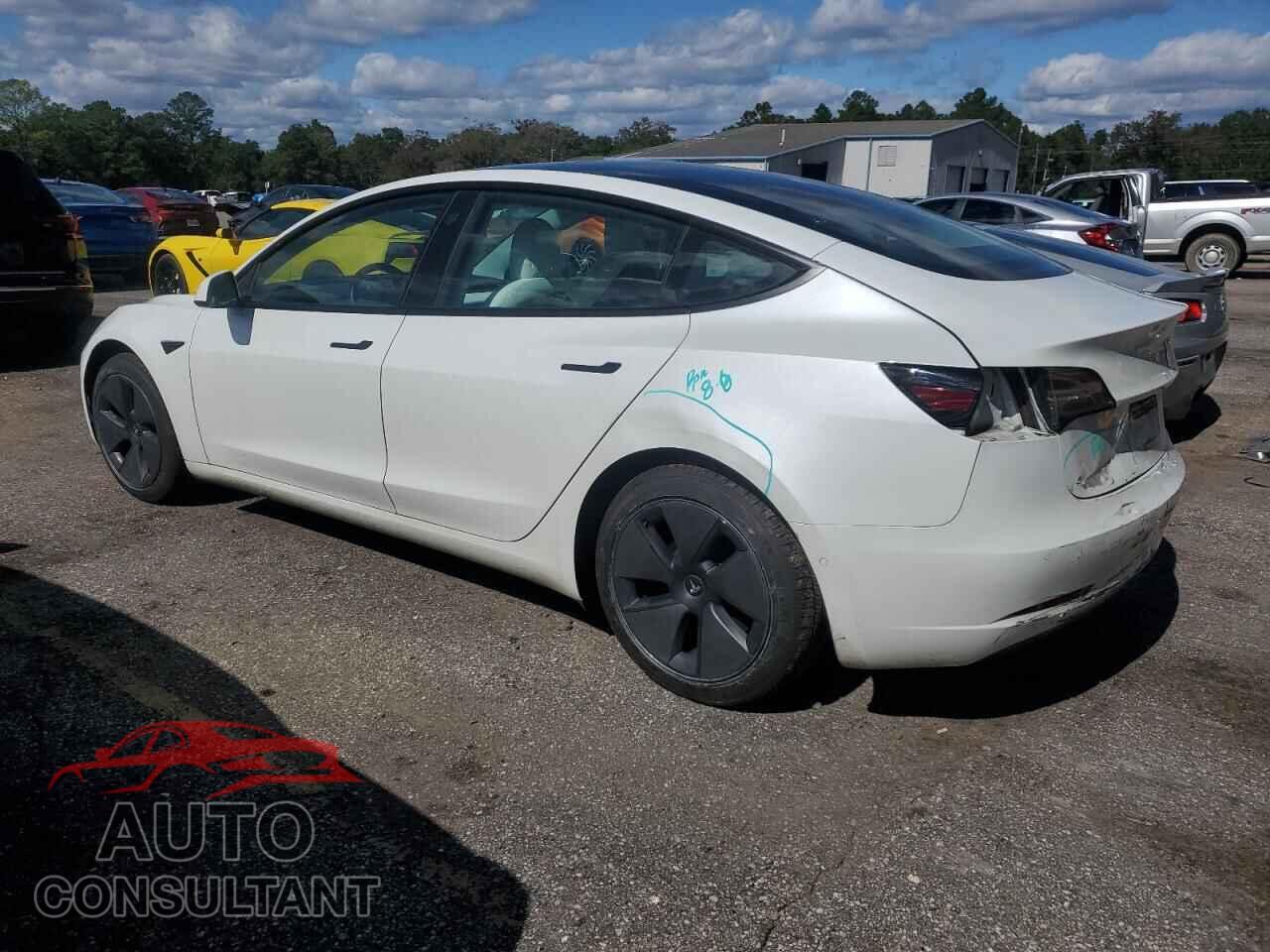 TESLA MODEL 3 2021 - 5YJ3E1EA5MF081932