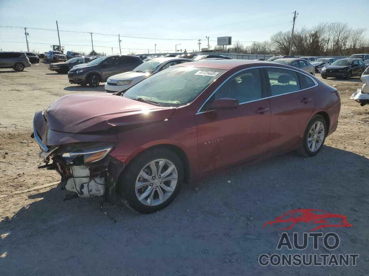 CHEVROLET MALIBU 2019 - 1G1ZF5SU5KF190552