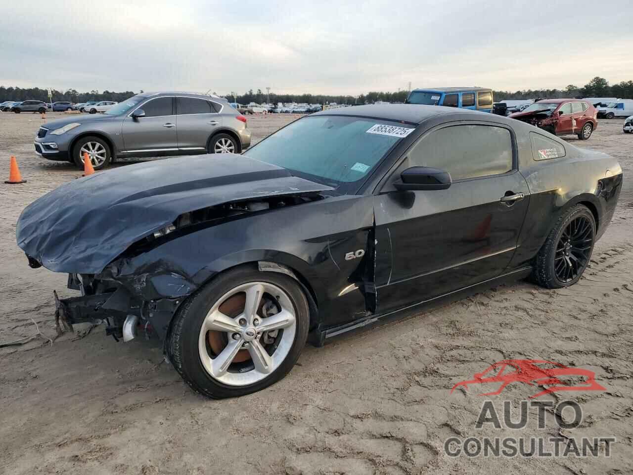 FORD MUSTANG 2011 - 1ZVBP8CF7B5153576