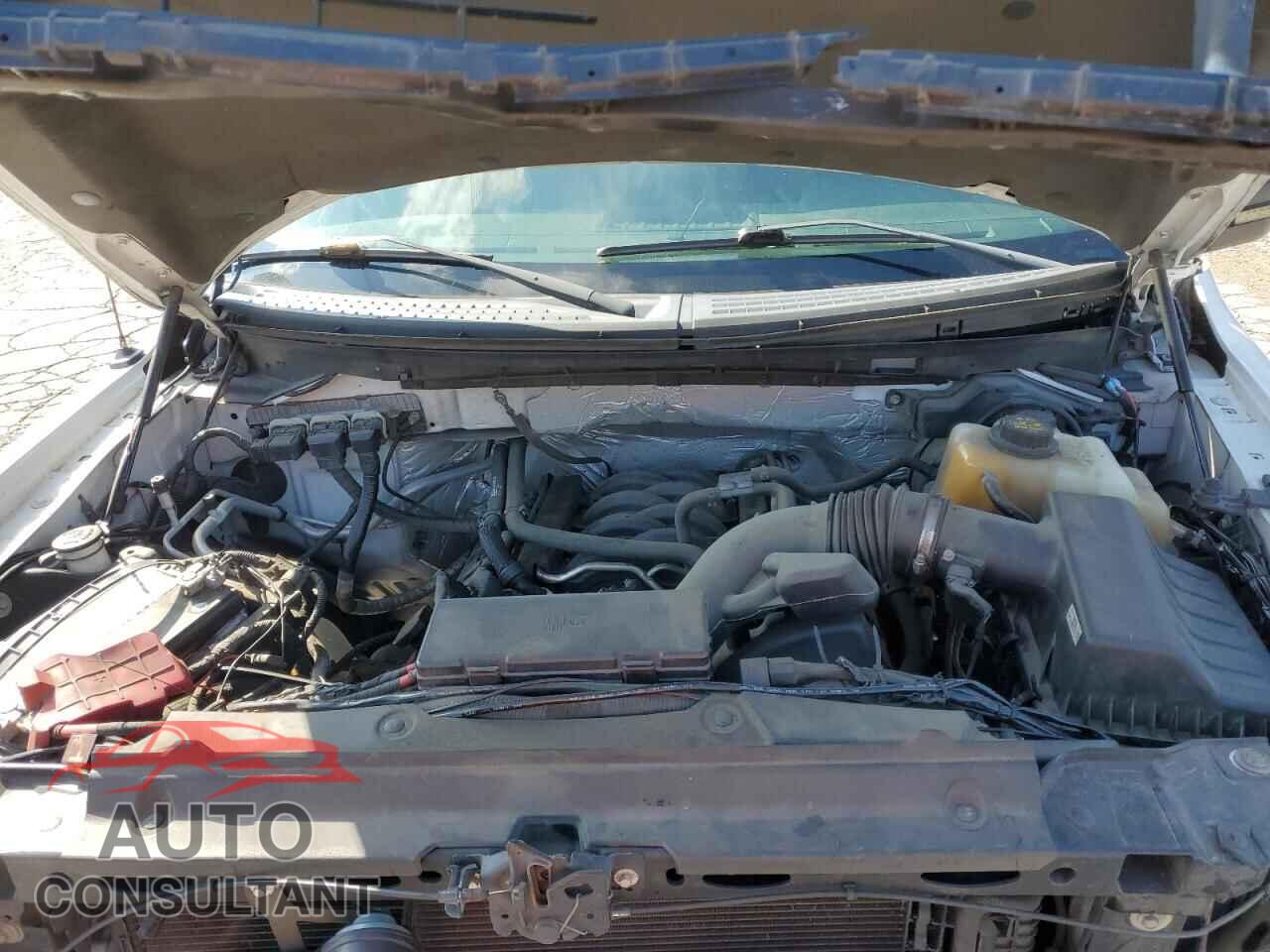 FORD F-150 2013 - 1FTFX1EF9DFD25032