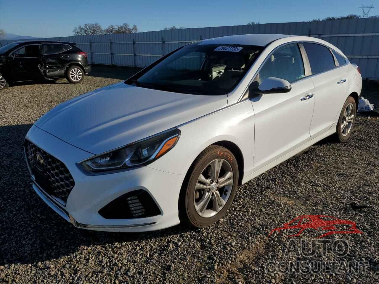 HYUNDAI SONATA 2019 - 5NPE34AF0KH765271