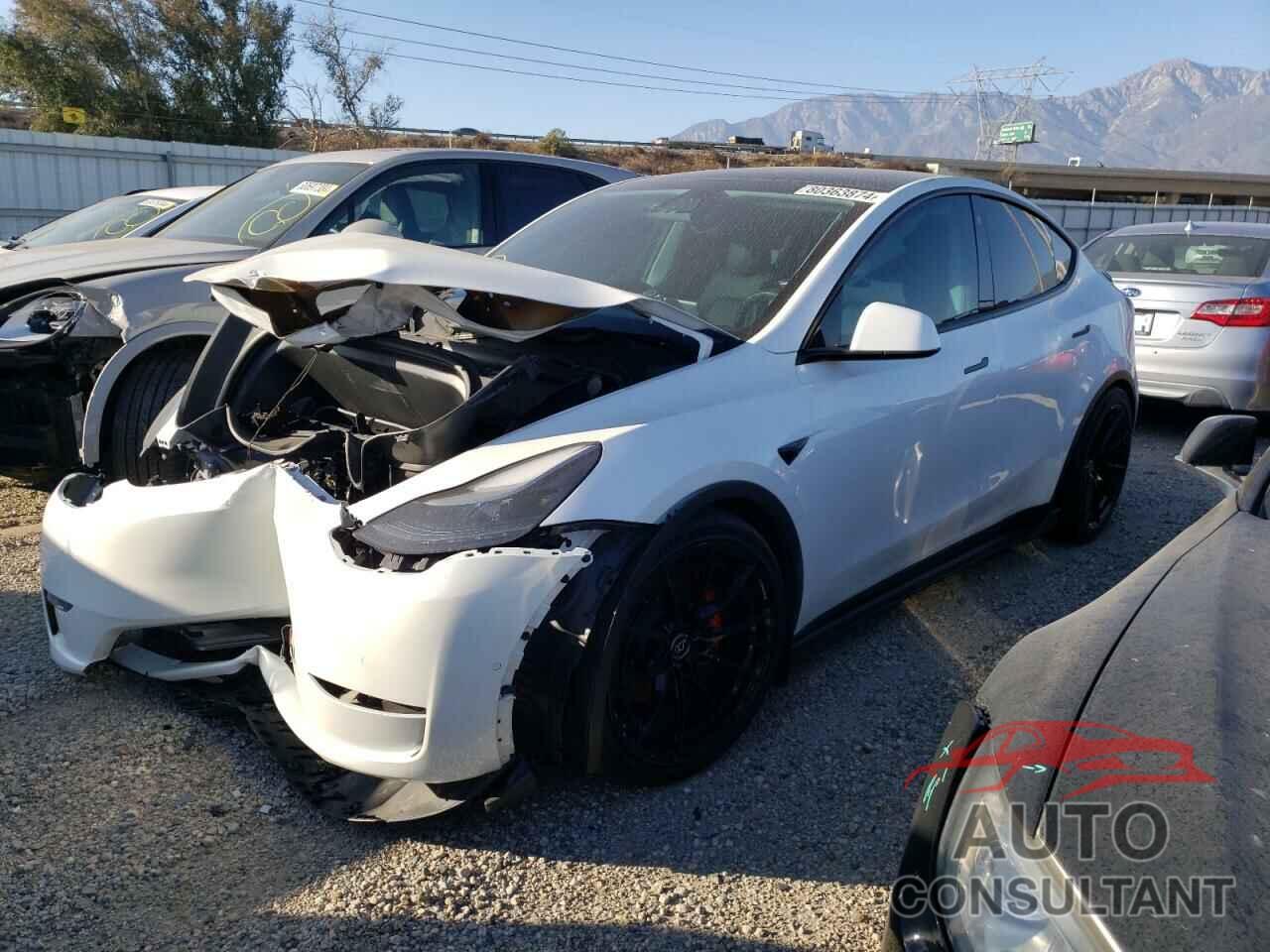 TESLA MODEL Y 2022 - 7SAYGDEF9NF389591