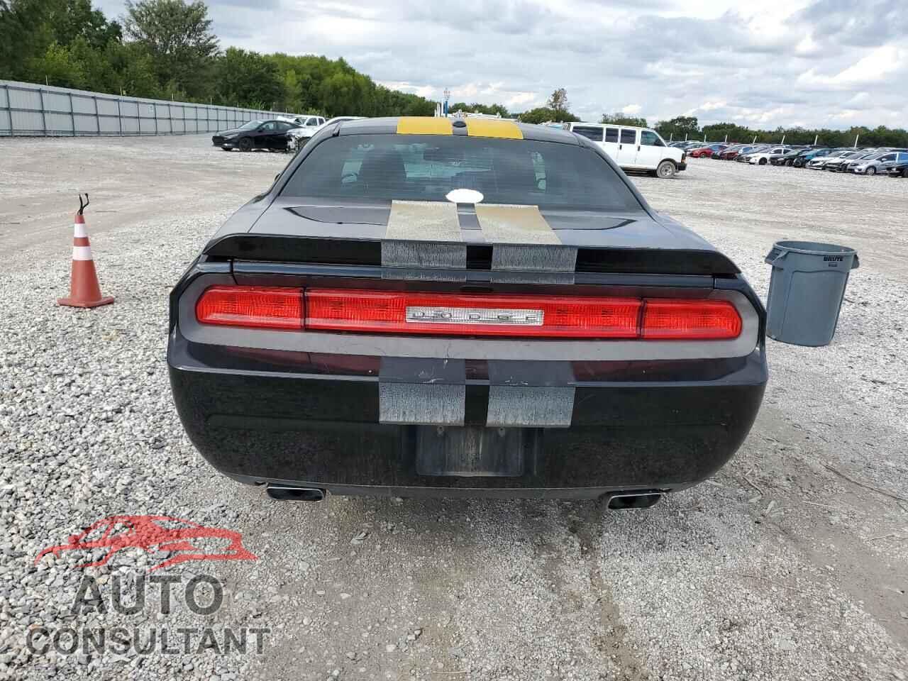DODGE CHALLENGER 2013 - 2C3CDYAG8DH511604