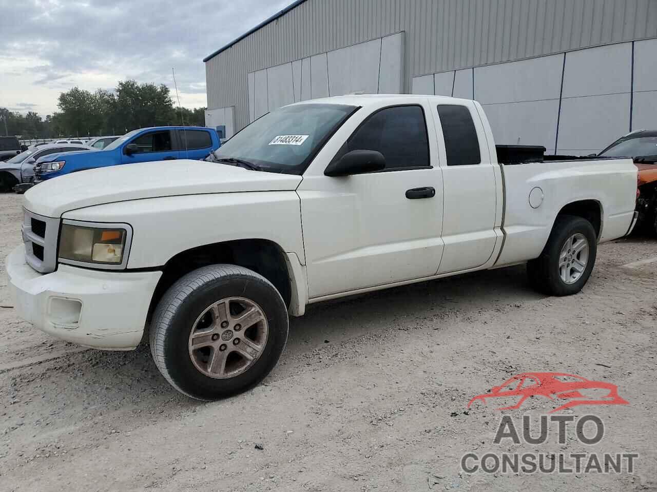 DODGE DAKOTA 2009 - 1D3HE32K69S747955