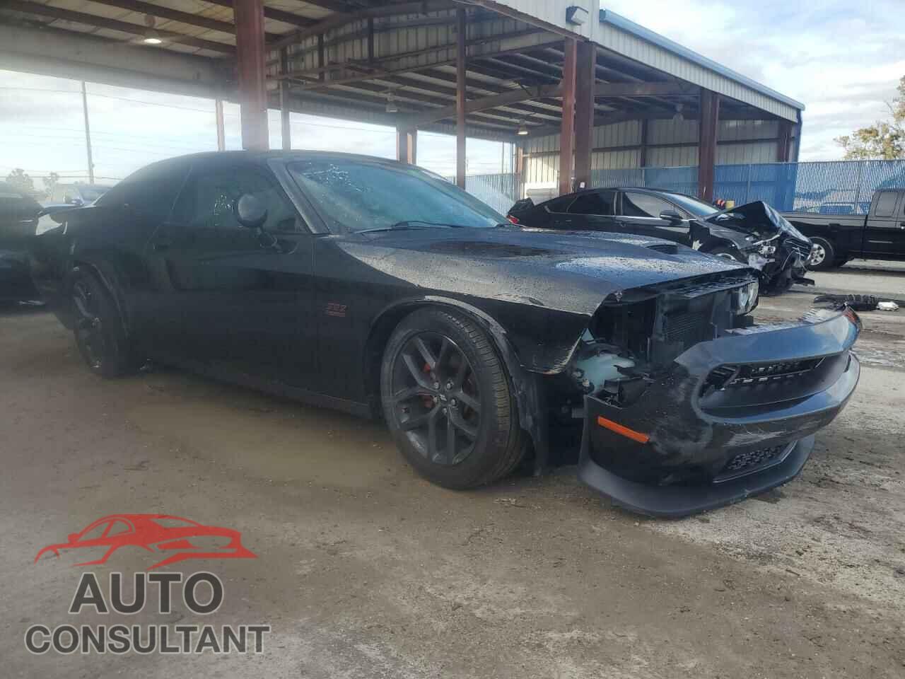 DODGE CHALLENGER 2019 - 2C3CDZJG4KH503857