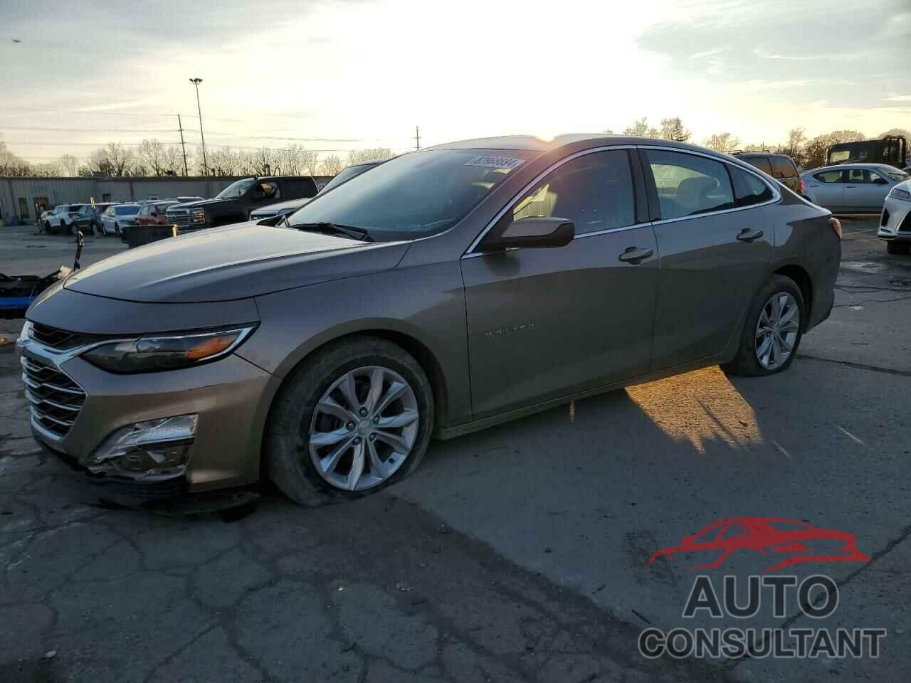 CHEVROLET MALIBU 2019 - 1G1ZD5ST9KF117049