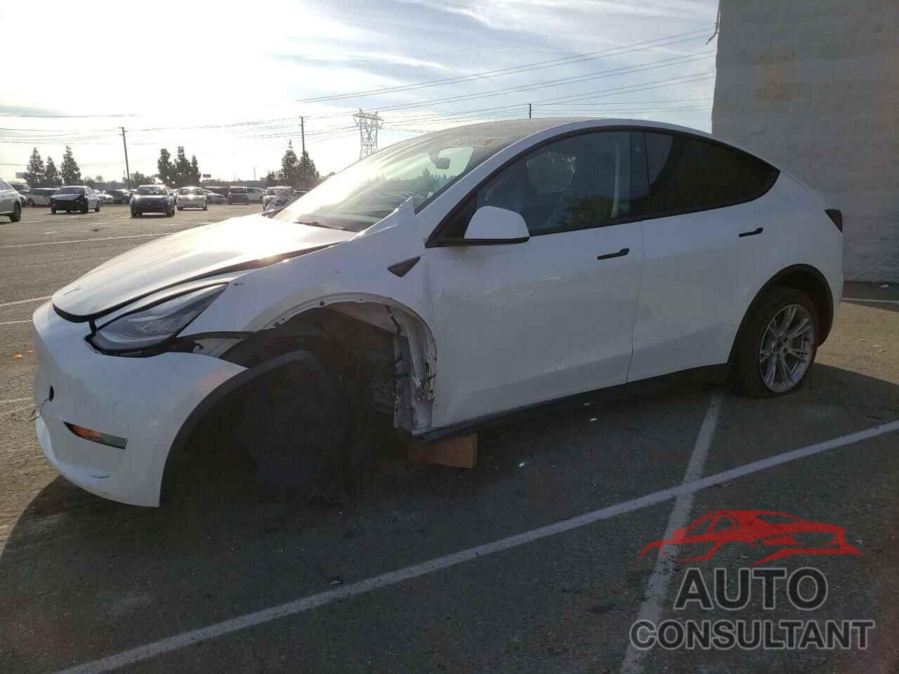 TESLA MODEL Y 2022 - 7SAYGDEEXNF428227