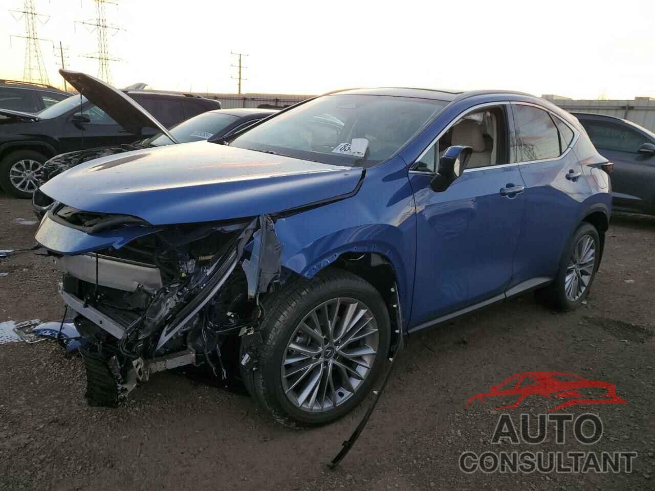 LEXUS NX 350H BA 2025 - 2T2HKCEZ8SC037324
