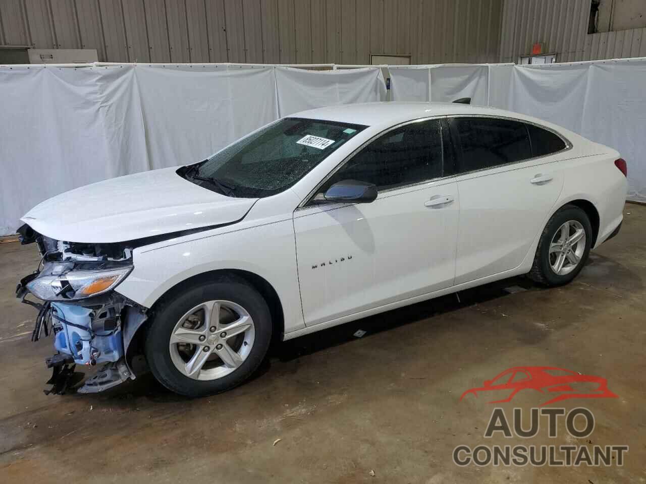 CHEVROLET MALIBU 2019 - 1G1ZB5ST3KF217640