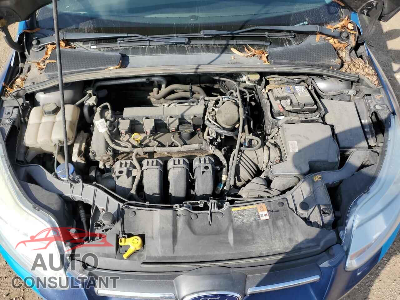 FORD FOCUS 2014 - 1FADP3K24EL192855