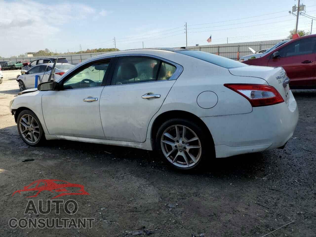 NISSAN MAXIMA 2009 - 1N4AA51E89C842966
