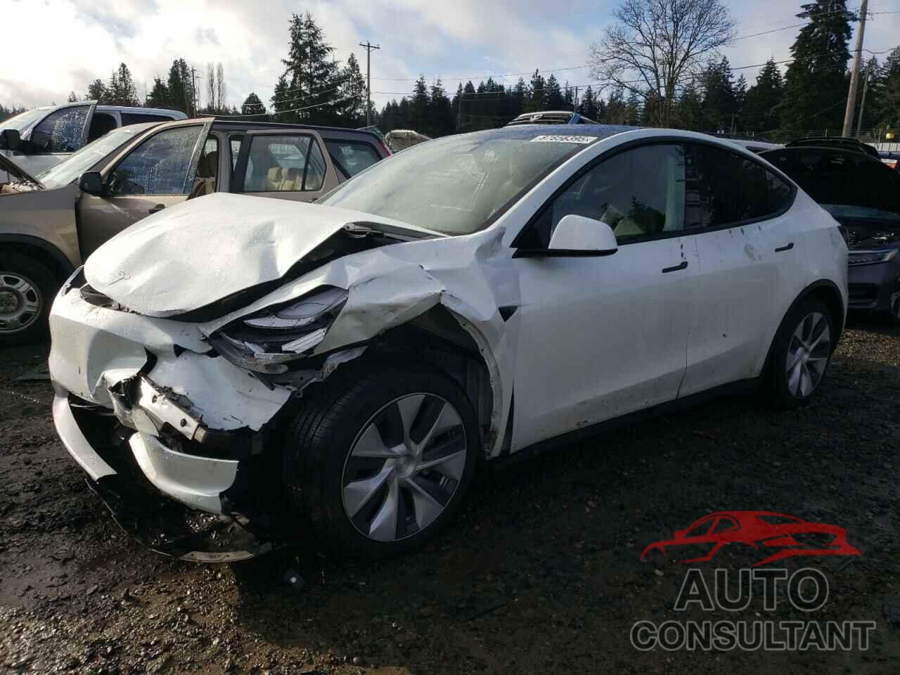 TESLA MODEL Y 2020 - 5YJYGDEF9LF022930