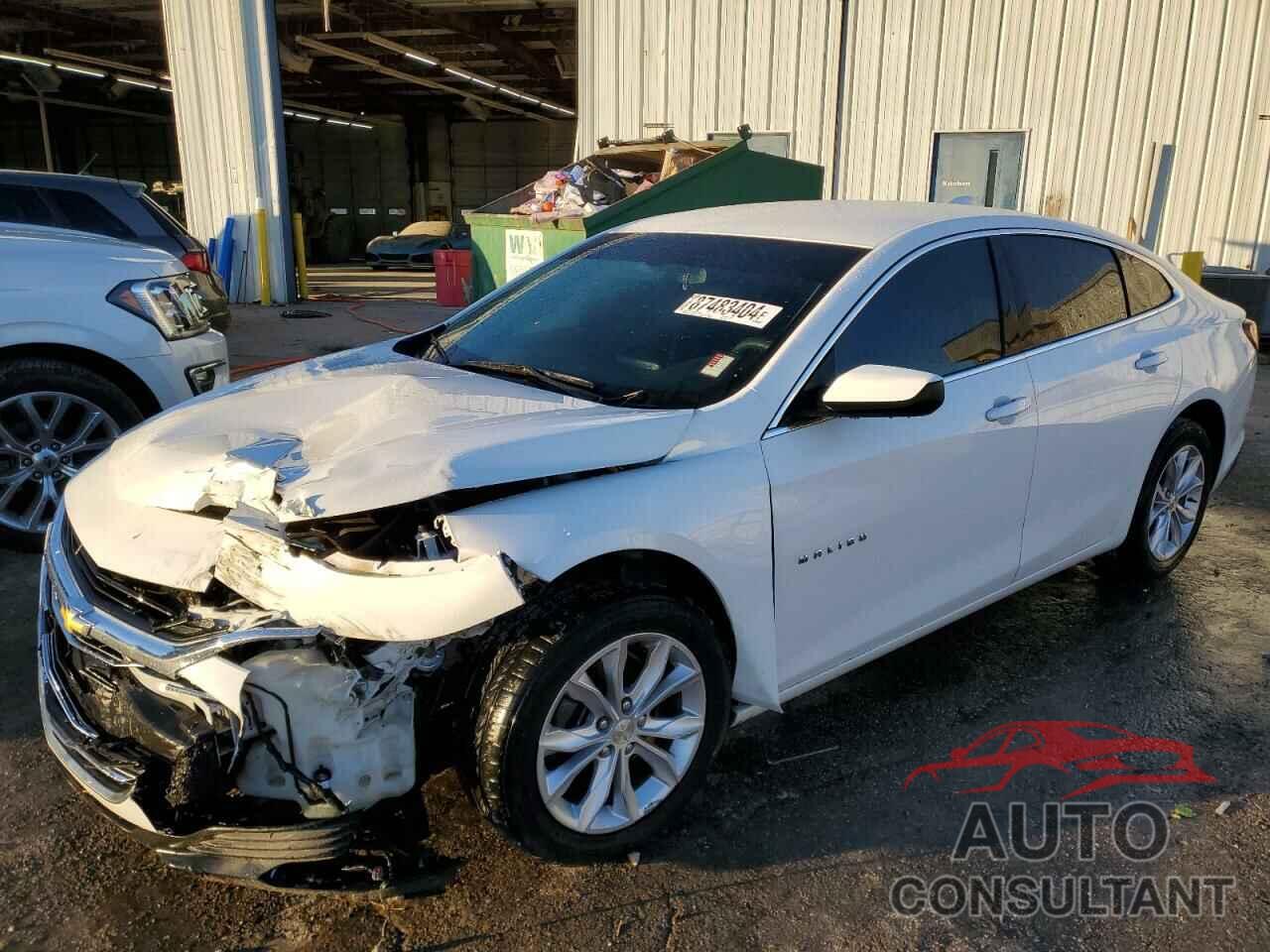 CHEVROLET MALIBU 2019 - 1G1ZD5ST6KF147237
