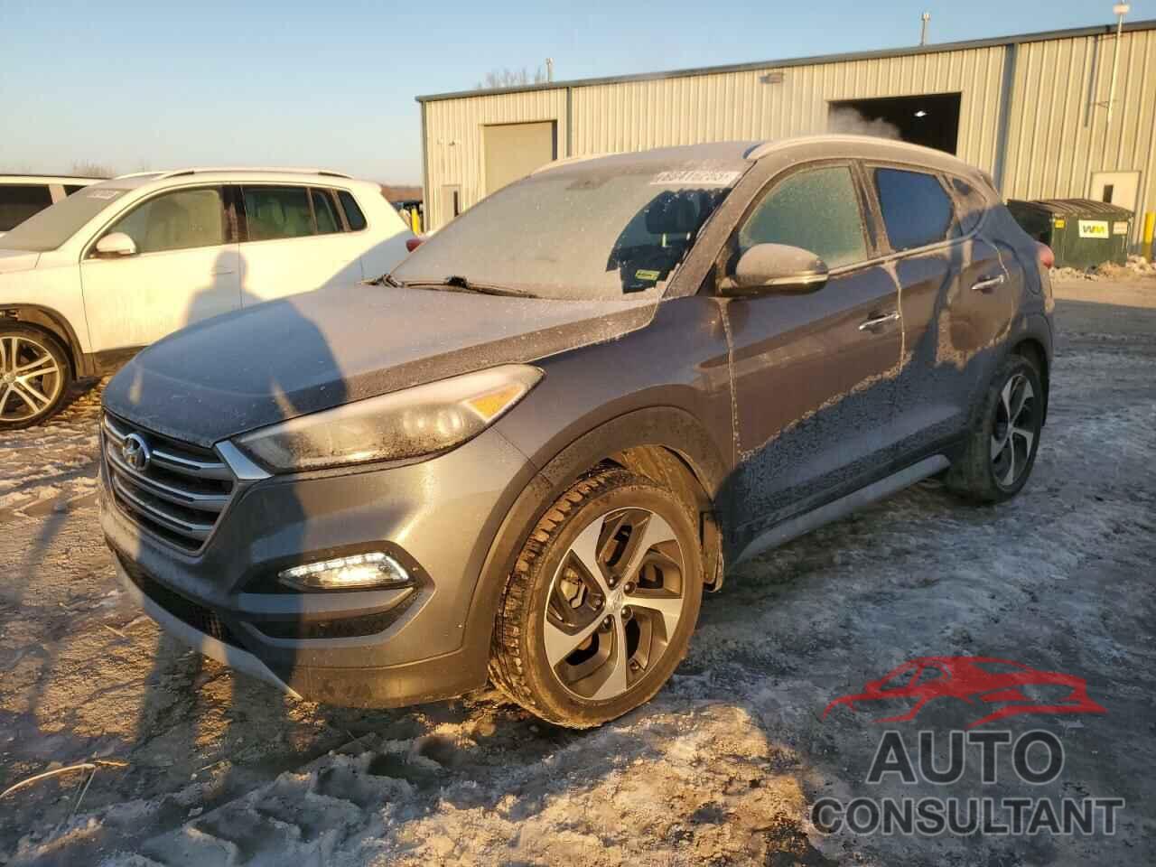 HYUNDAI TUCSON 2017 - KM8J33A23HU393053