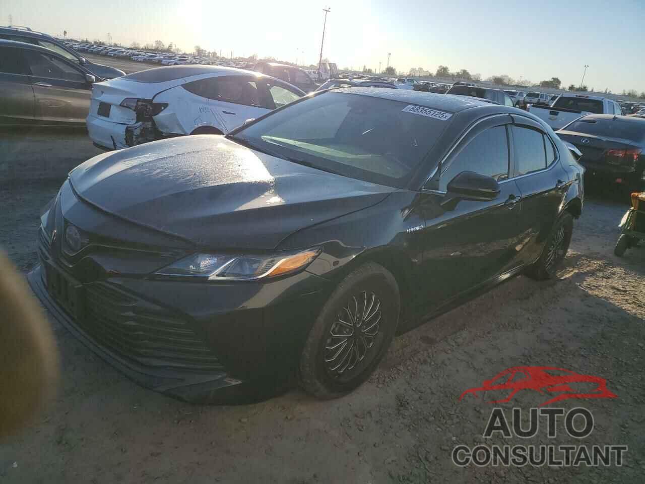 TOYOTA CAMRY 2019 - 4T1B31HK7KU512308