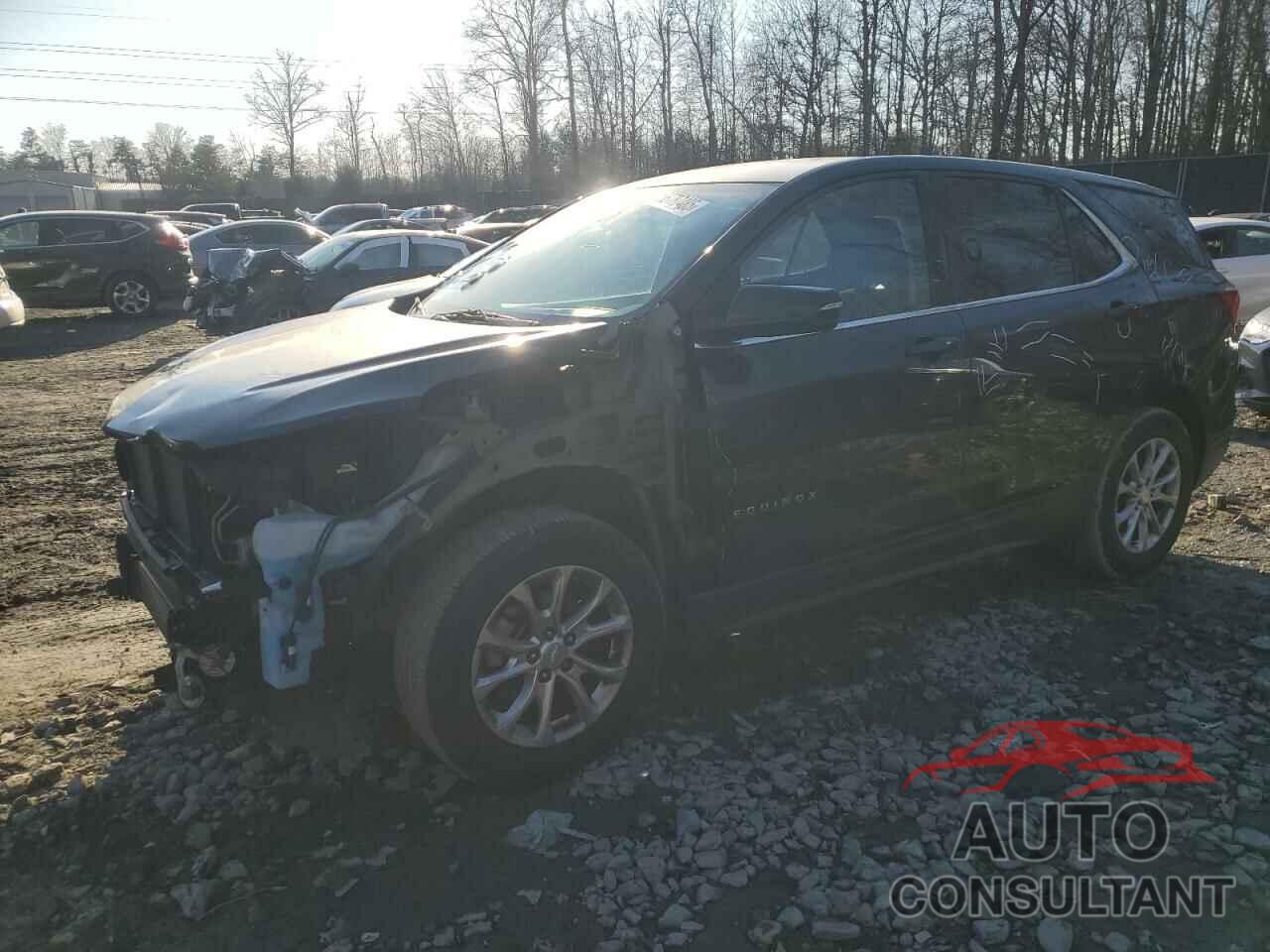 CHEVROLET EQUINOX 2019 - 3GNAXJEV0KL363454