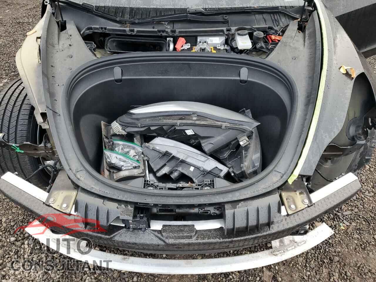 TESLA MODEL 3 2019 - 5YJ3E1EA9KF302445
