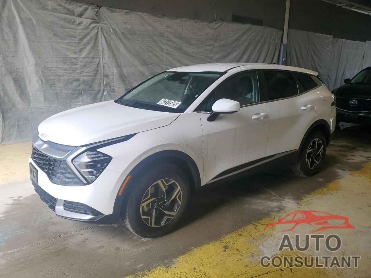 KIA SPORTAGE 2025 - 5XYK2CDF0SG316837