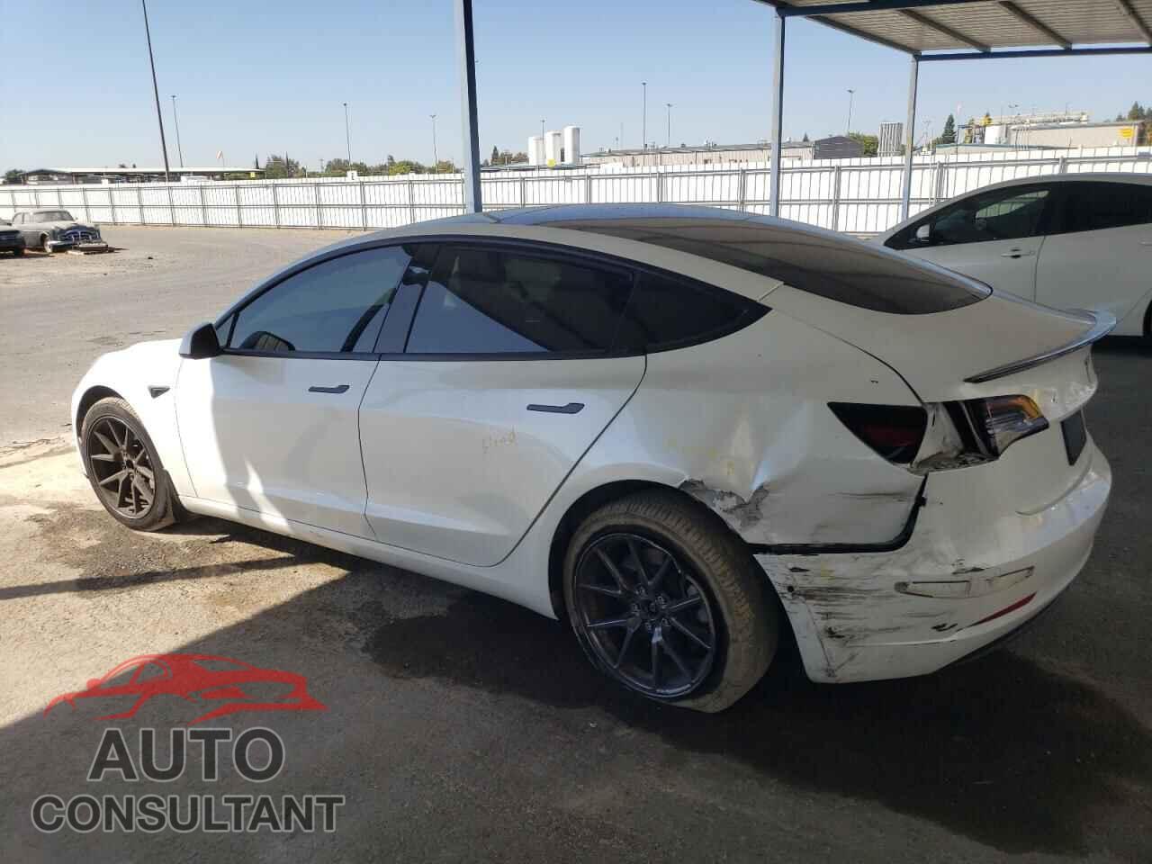 TESLA MODEL 3 2021 - 5YJ3E1EA2MF029741