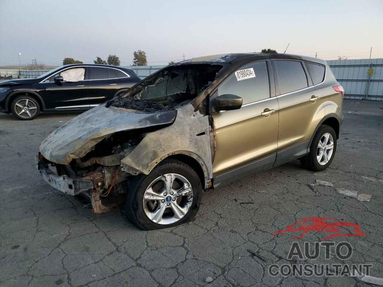 FORD ESCAPE 2013 - 1FMCU9GX4DUC21457