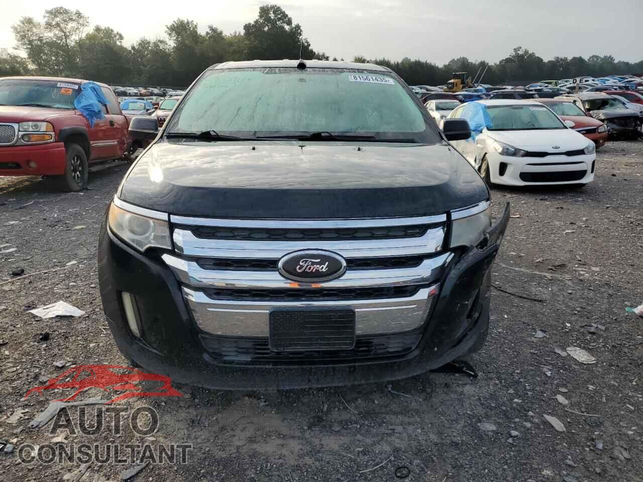 FORD EDGE 2011 - 2FMDK3JC4BBB35484