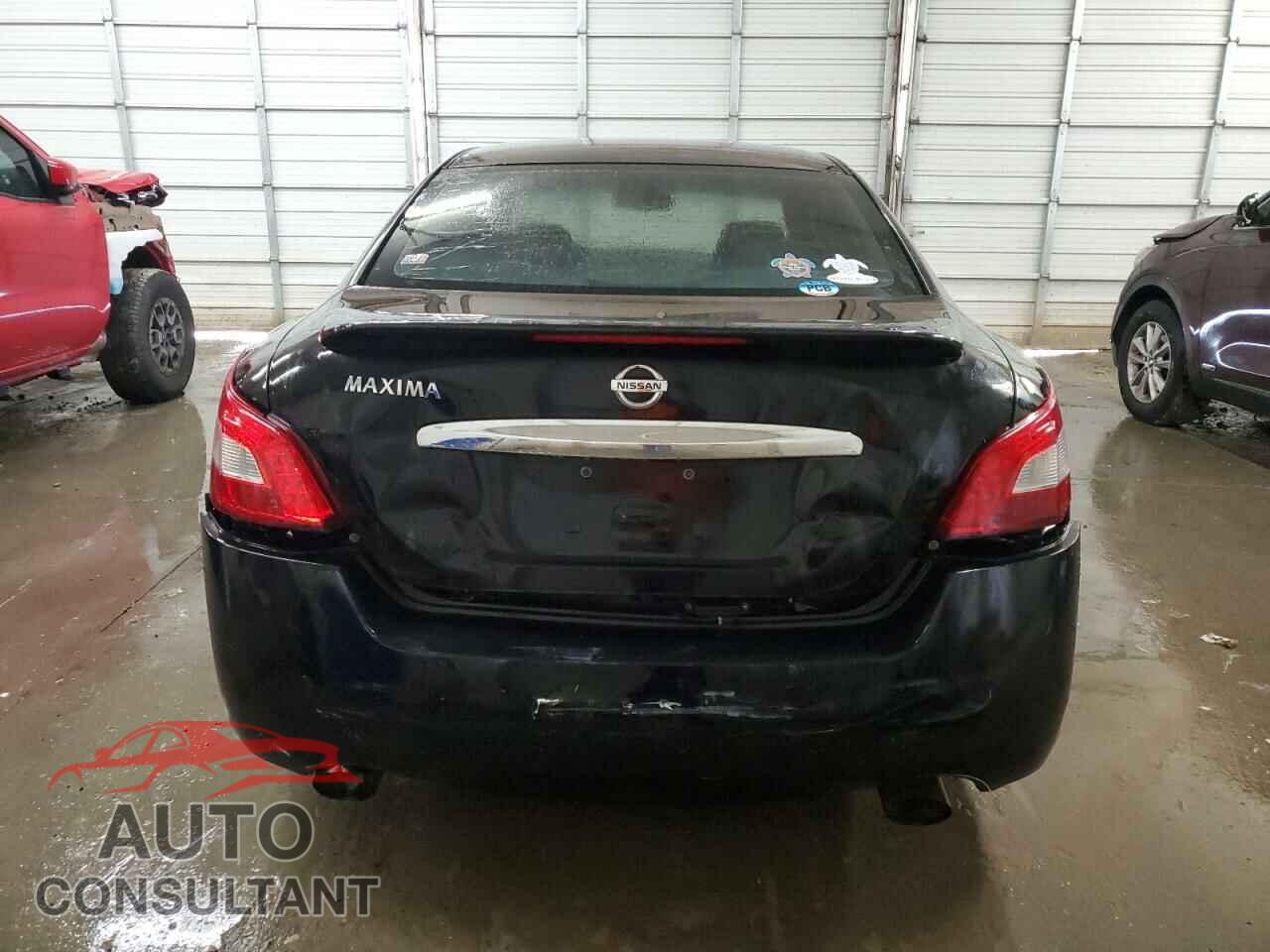 NISSAN MAXIMA 2009 - 1N4AA51E99C817896