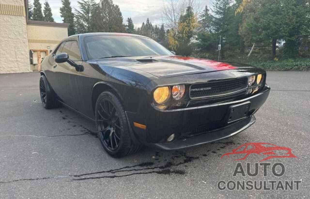 DODGE CHALLENGER 2013 - 2C3CDYAGXDH549092