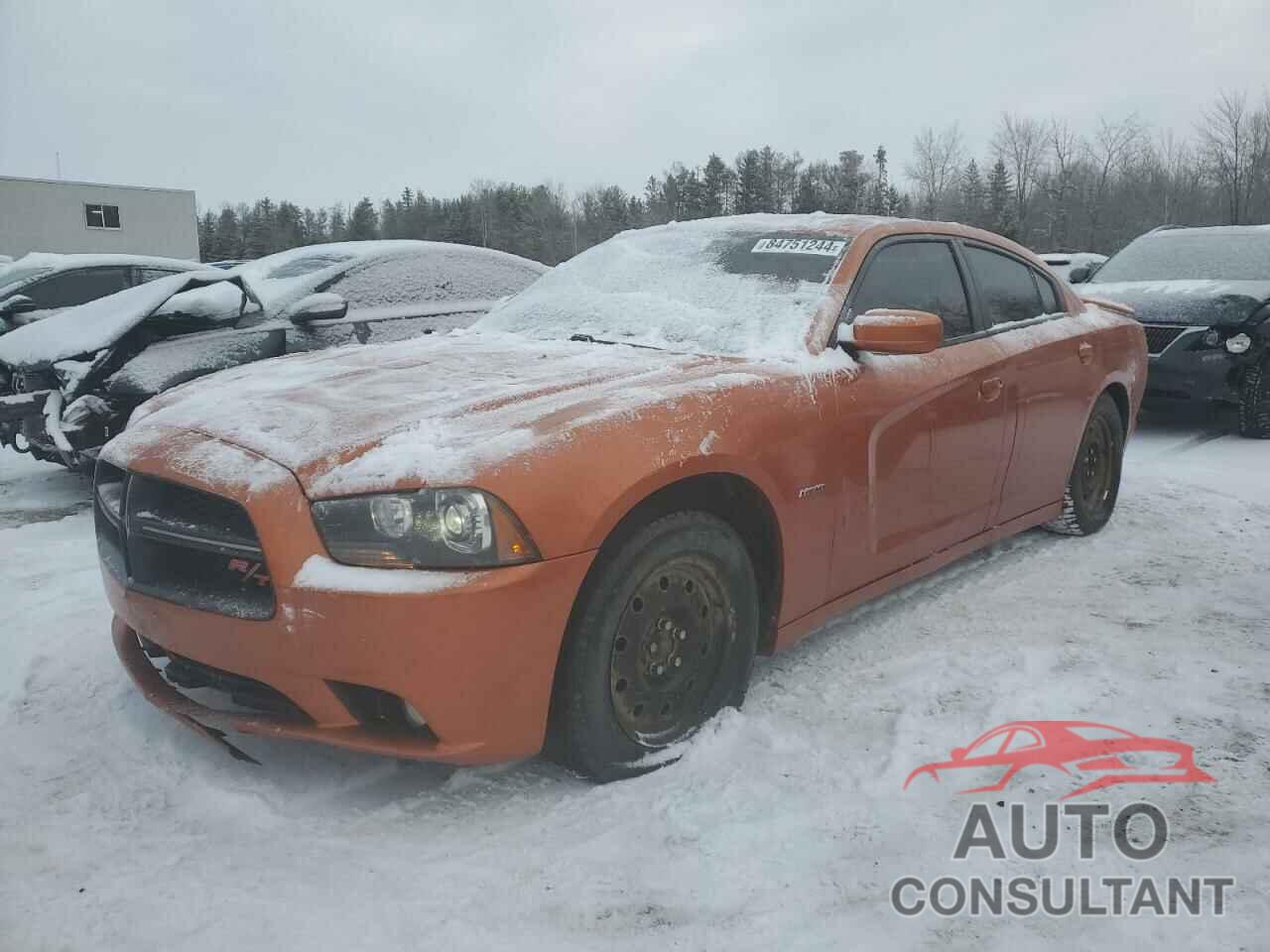 DODGE CHARGER 2011 - 2B3CL5CT4BH513128