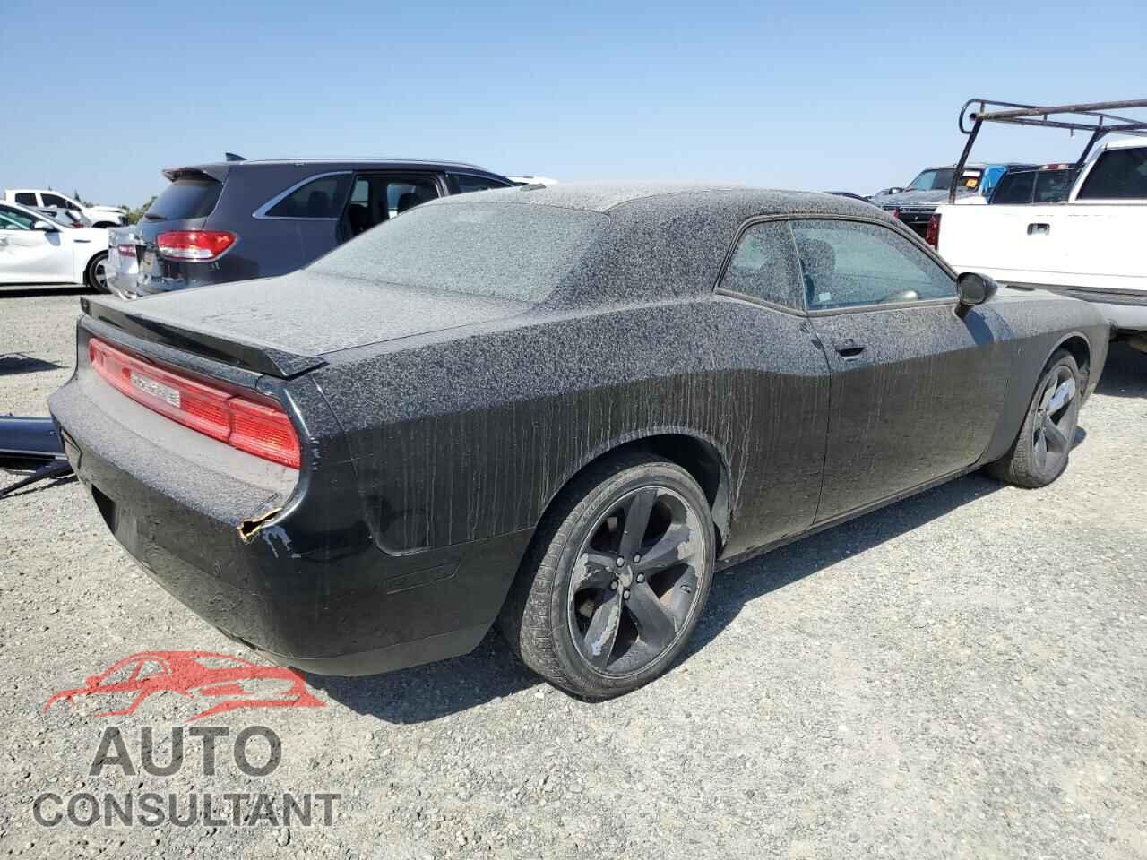 DODGE CHALLENGER 2013 - 2C3CDYAG0DH524542