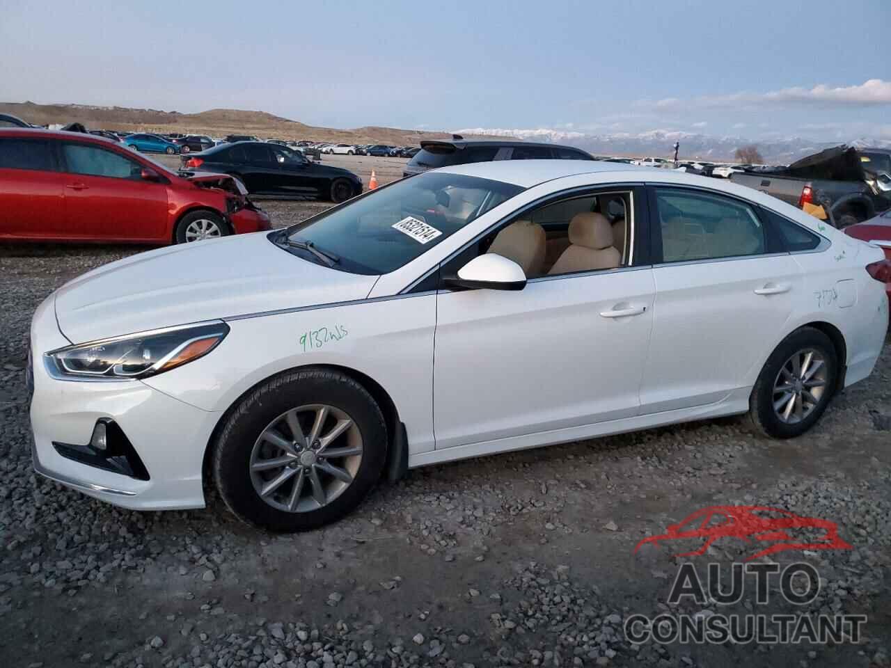 HYUNDAI SONATA 2019 - 5NPE24AF7KH792857