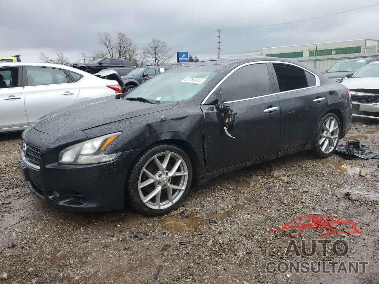 NISSAN MAXIMA 2011 - 1N4AA5AP5BC837442