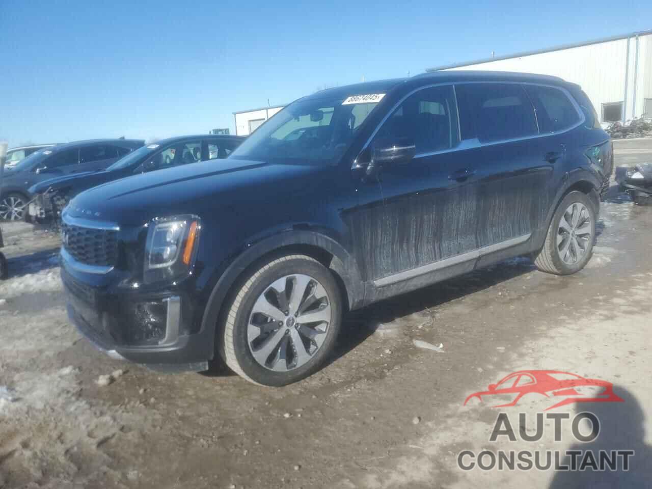 KIA TELLURIDE 2022 - 5XYP3DHC5NG311548