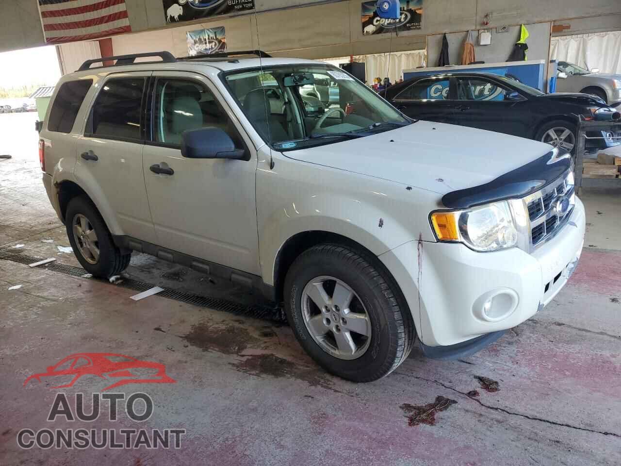 FORD ESCAPE 2009 - 1FMCU93719KD05910