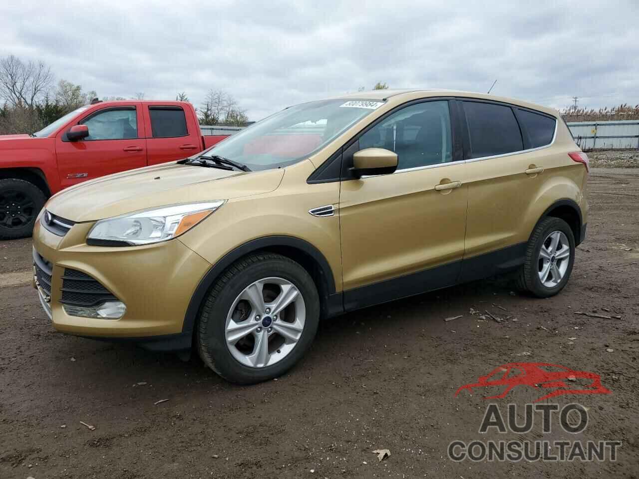 FORD ESCAPE 2014 - 1FMCU0GX7EUC06979