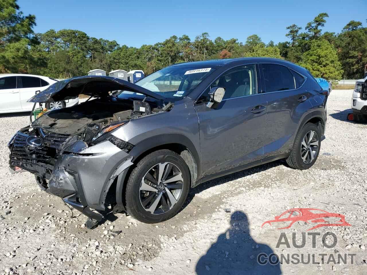 LEXUS NX 2018 - JTJYARBZ2J2095325