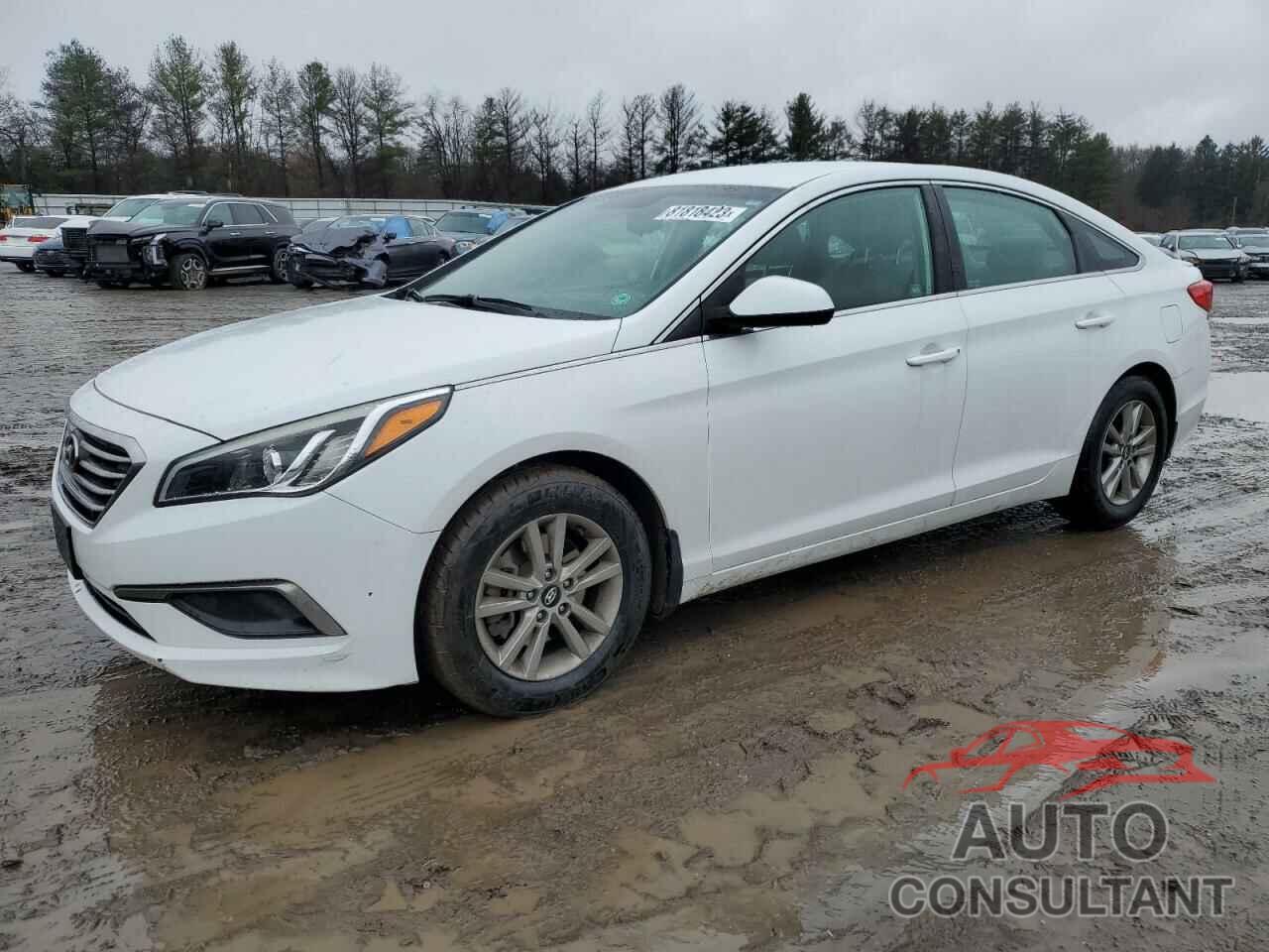 HYUNDAI SONATA 2016 - 5NPE24AF2GH302980