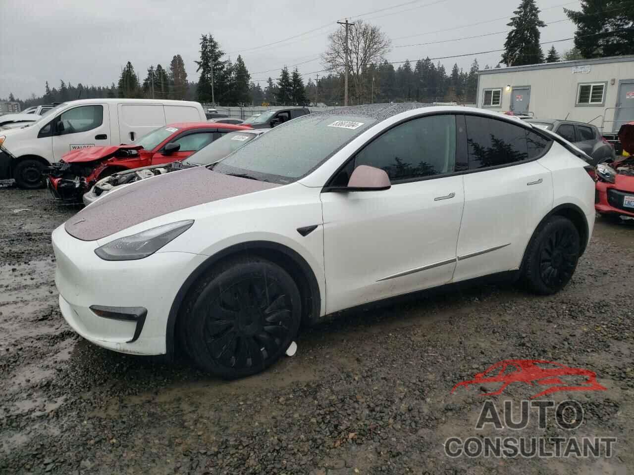 TESLA MODEL Y 2023 - 7SAYGDEEXPF979065