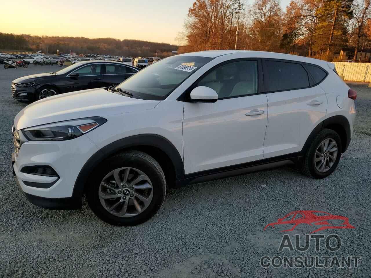 HYUNDAI TUCSON 2018 - KM8J23A46JU759663