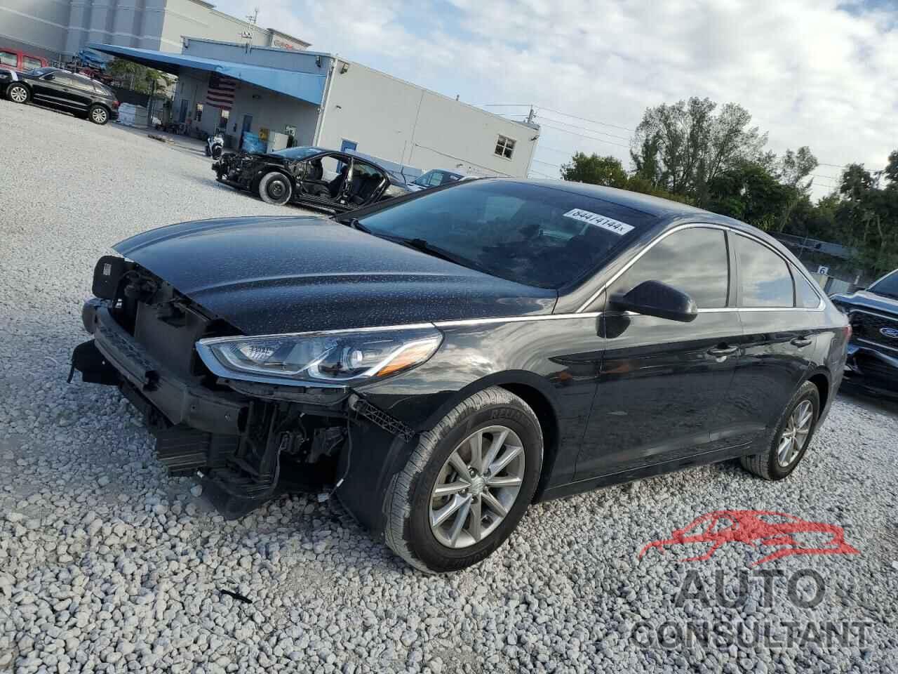 HYUNDAI SONATA 2019 - 5NPE24AF1KH814464