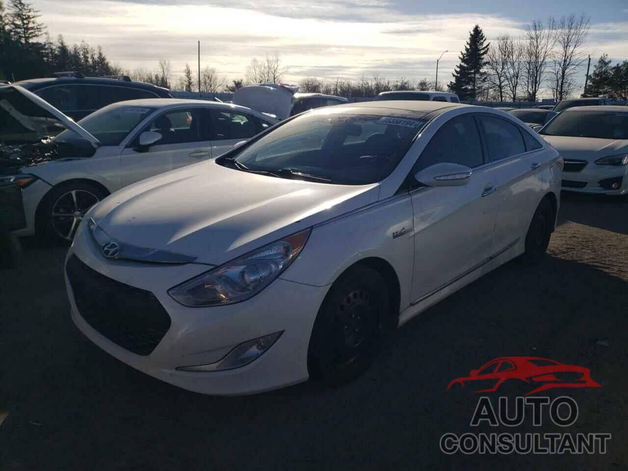 HYUNDAI SONATA 2011 - KMHEC4A46BA015391