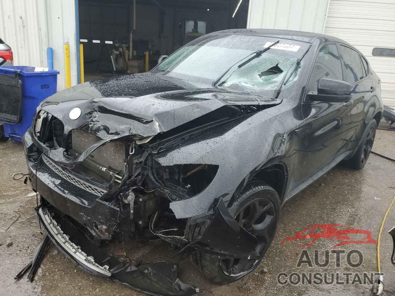 BMW X6 2011 - 5UXFG2C53BLX09224