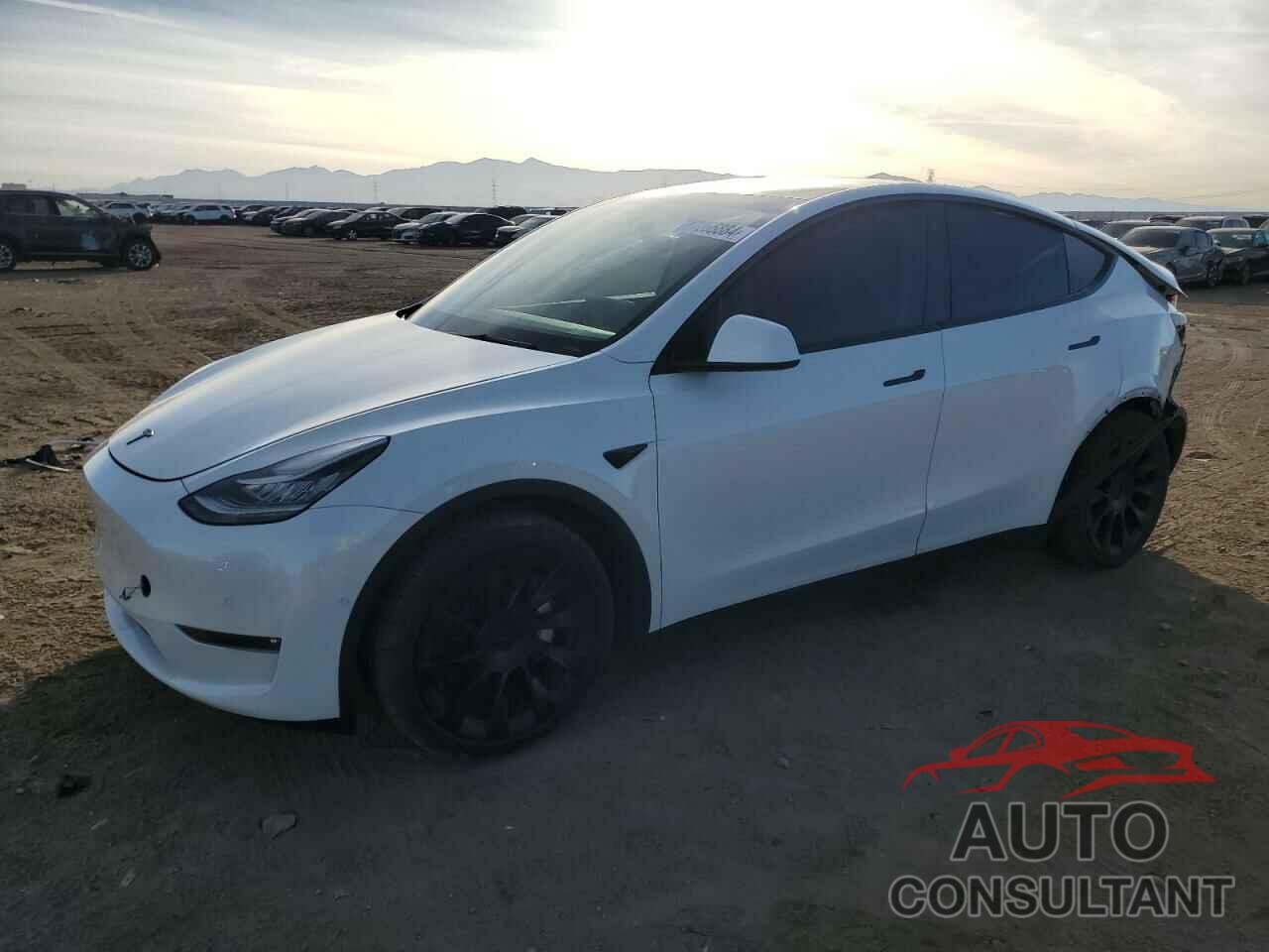 TESLA MODEL Y 2021 - 5YJYGAEE3MF253085