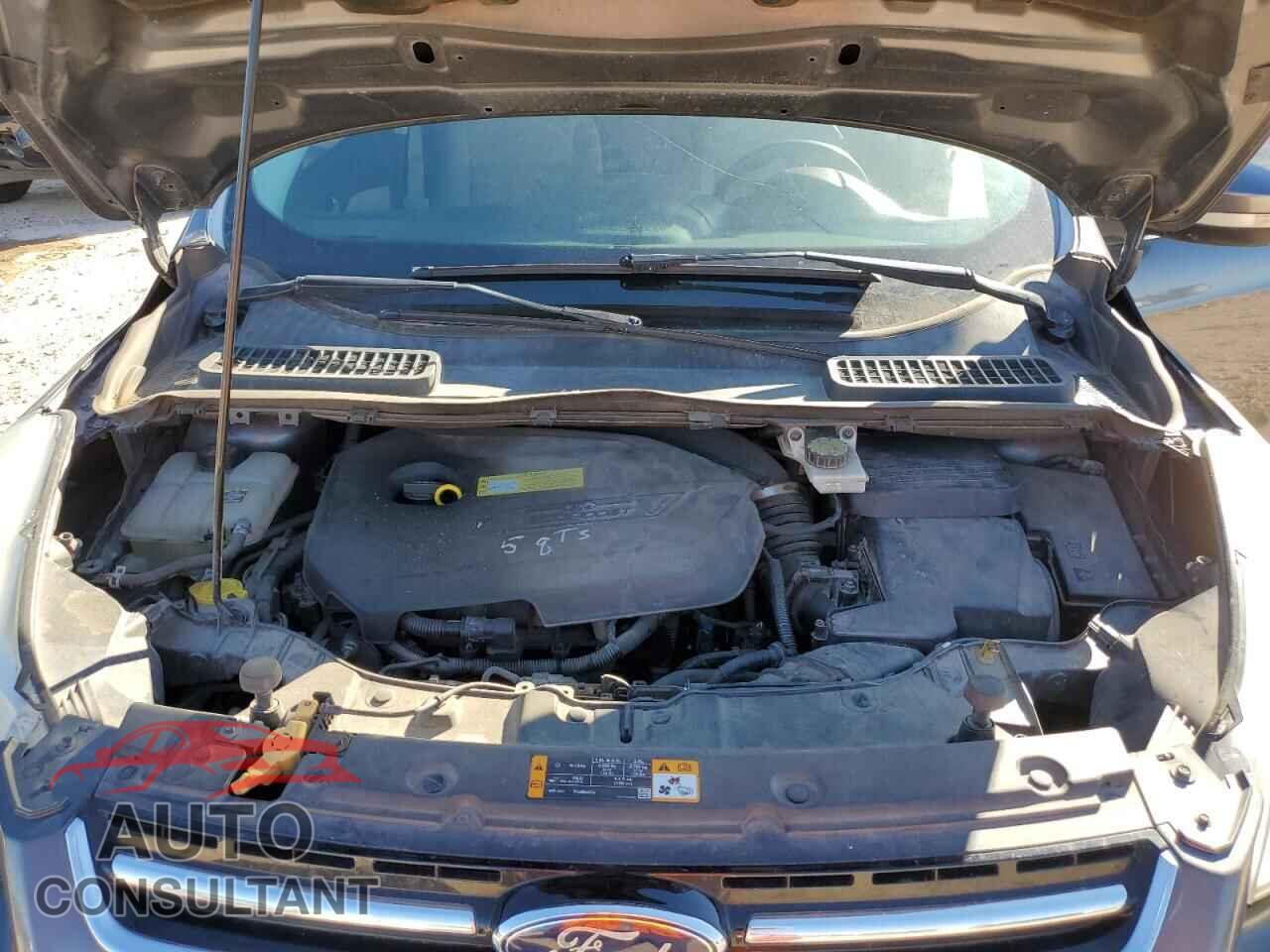 FORD ESCAPE 2013 - 1FMCU0HX7DUB71275