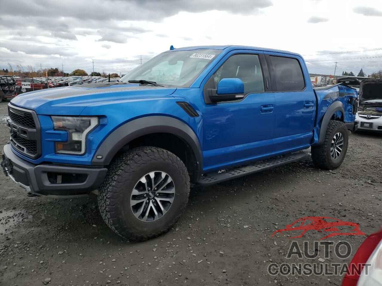 FORD F150 2019 - 1FTFW1RG5KFB89789