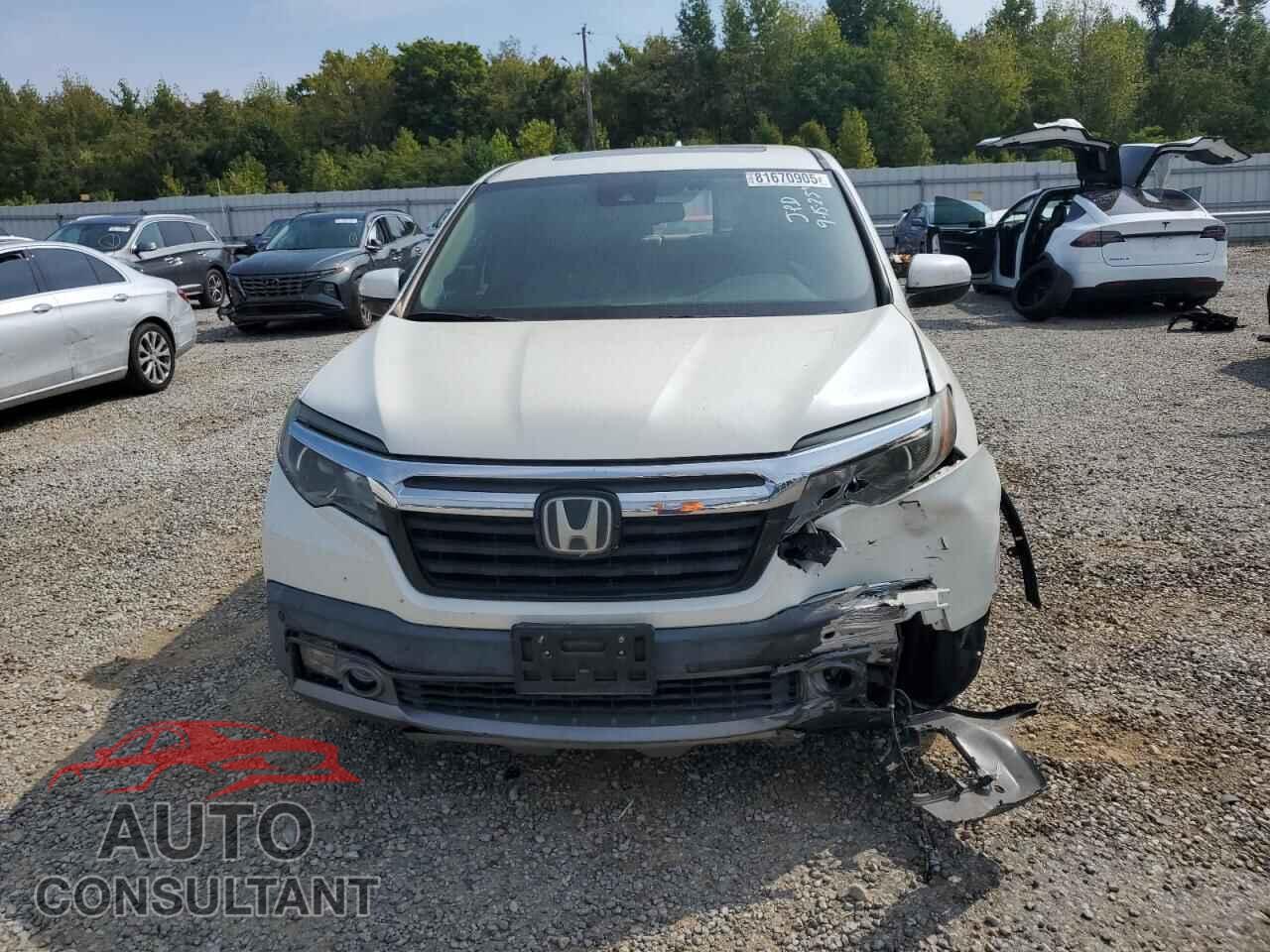 HONDA RIDGELINE 2017 - 5FPYK3F73HB014286