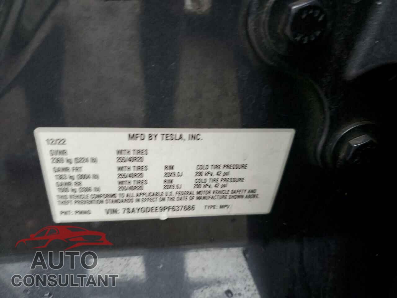 TESLA MODEL Y 2023 - 7SAYGDEE9PF637686