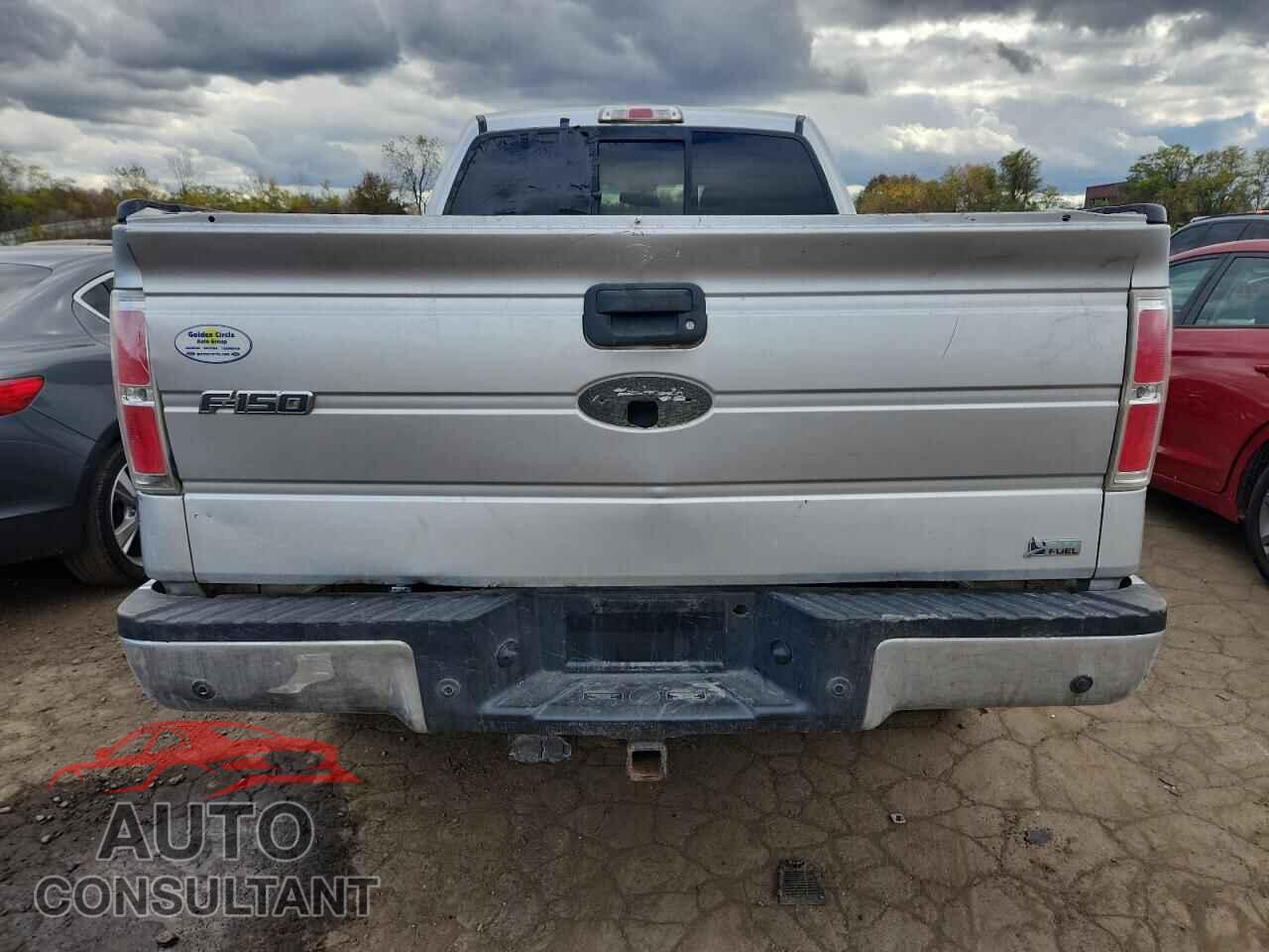 FORD F150 2010 - 1FTFW1EV2AFB03695