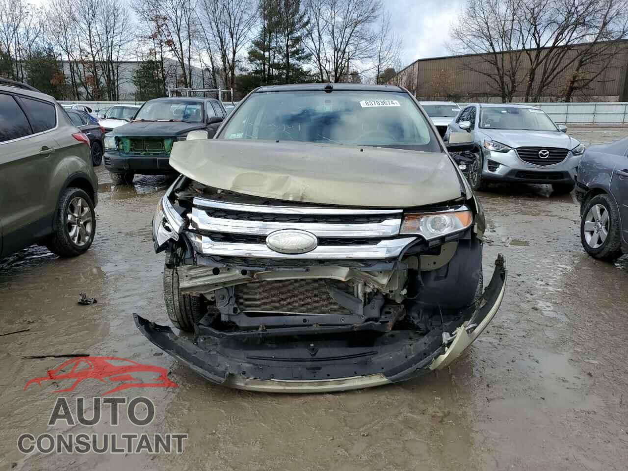 FORD EDGE 2012 - 2FMDK4KC2CBA55137