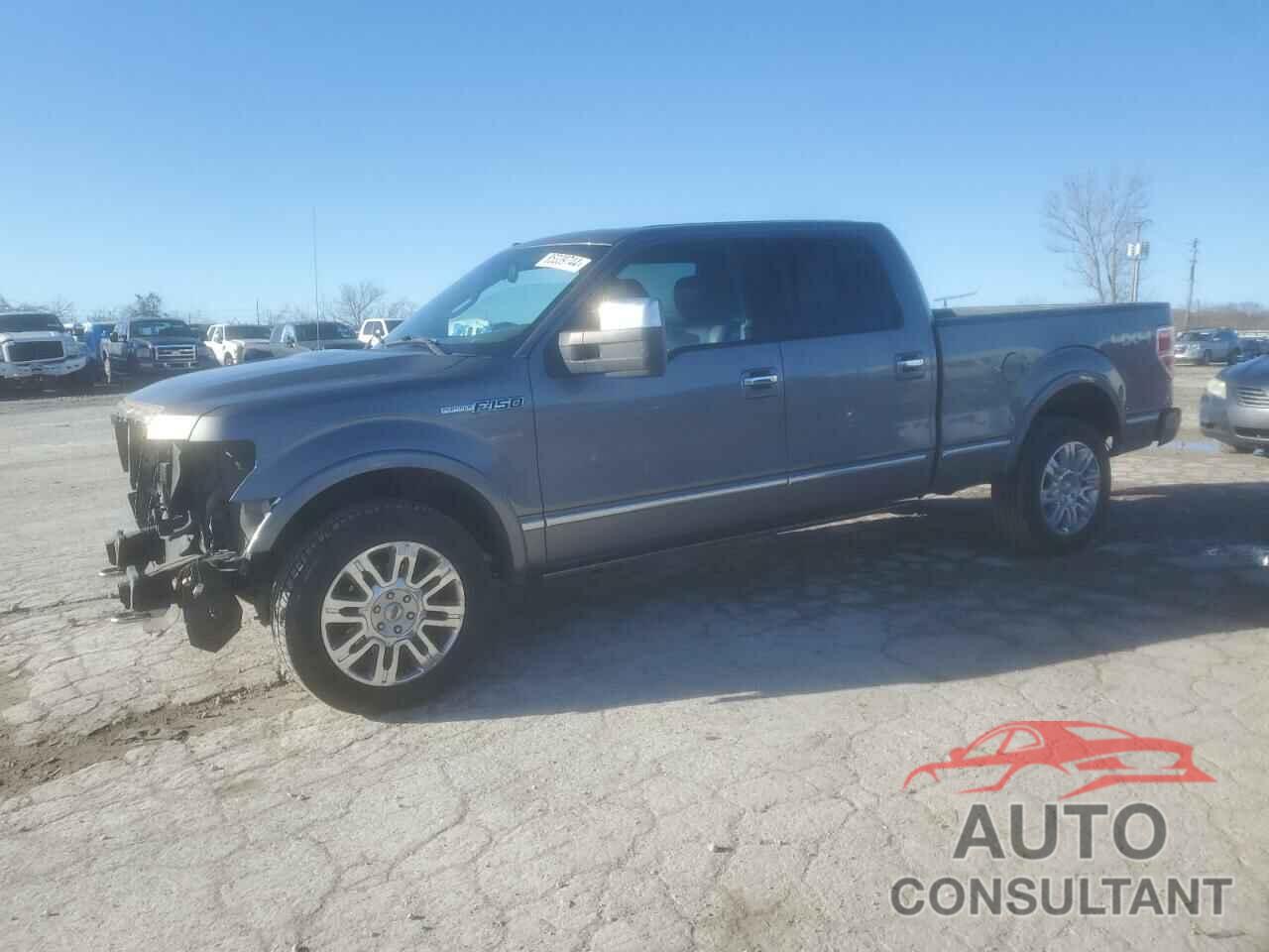 FORD F-150 2010 - 1FTFW1EV4AFB17534