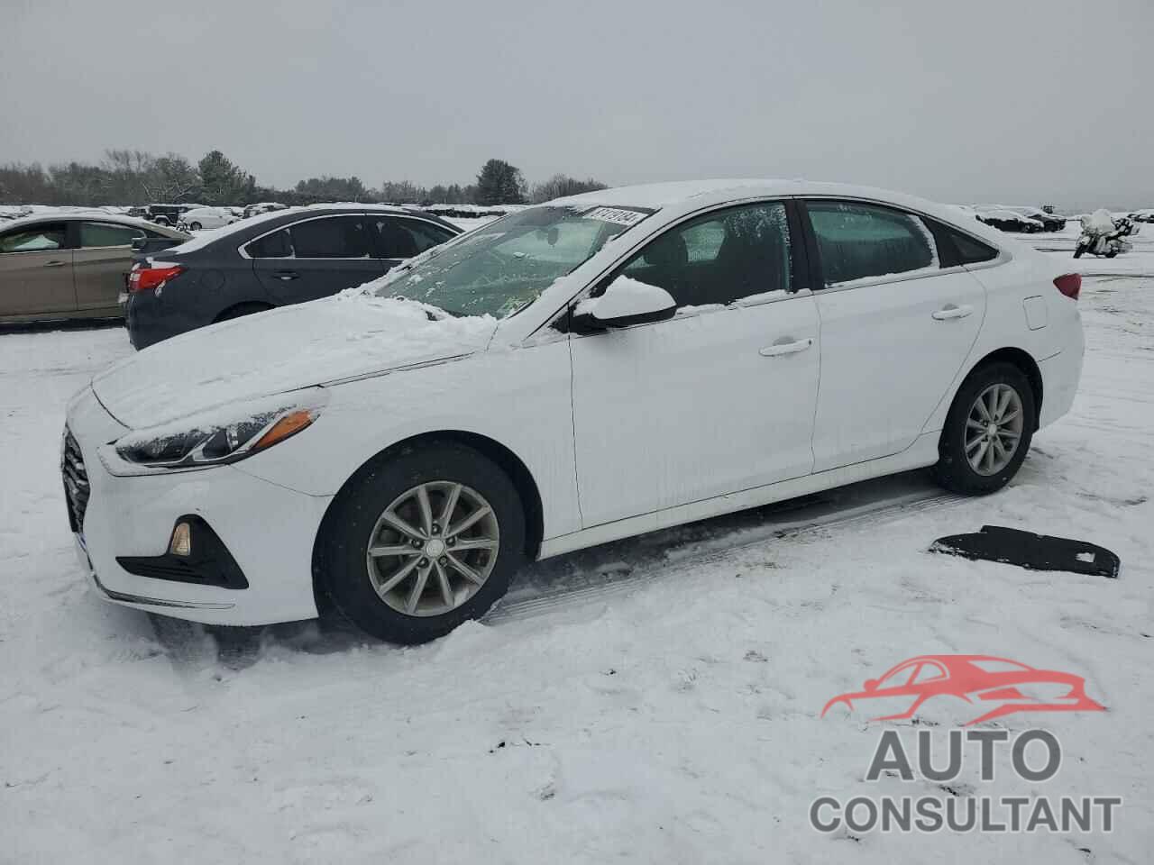 HYUNDAI SONATA 2019 - 5NPE24AF7KH744422